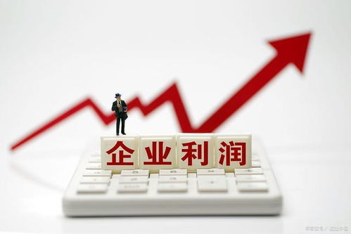 個(gè)體工商戶的15個(gè)財(cái)稅要點(diǎn),2021報(bào)稅政策 稅收優(yōu)惠等
