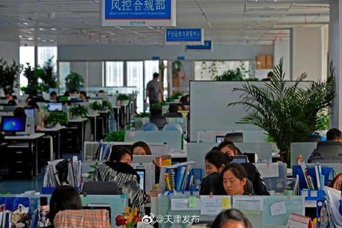 中企云鏈 以創(chuàng)新金融科技服務(wù)安心扎根，以信息技術(shù)咨詢服務(wù)舒心發(fā)展